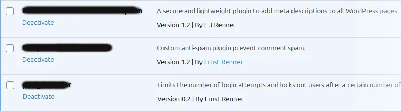 Ernst Renner Custom WordPress plugin development illustration, showcasing the creation and customization of plugins for enhanced website functionality